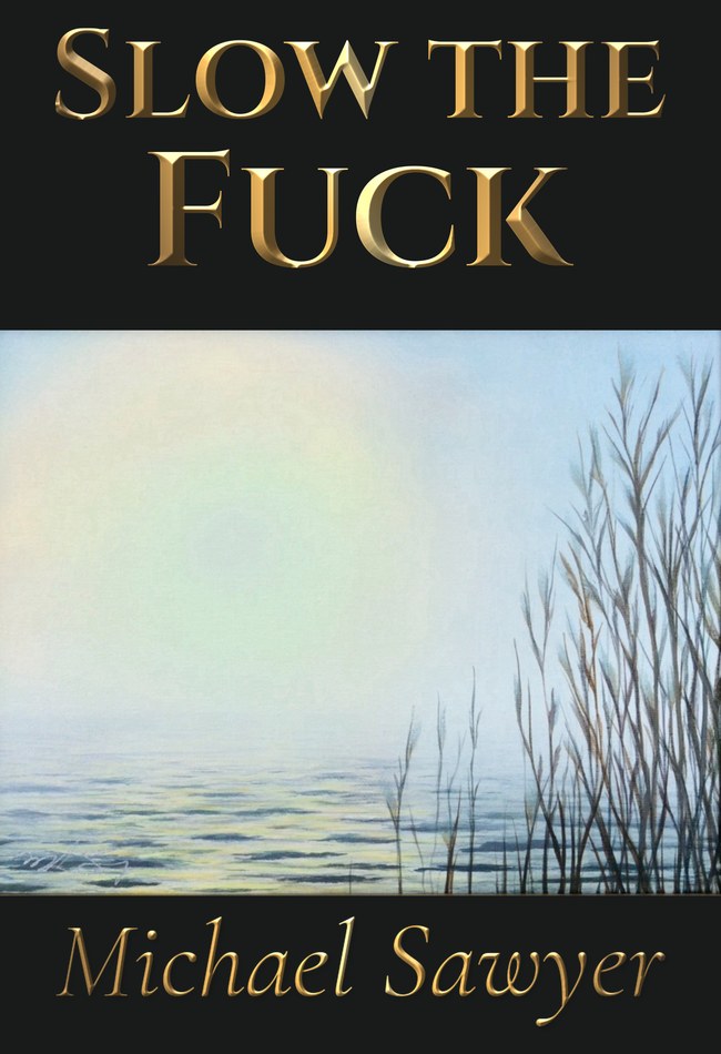 Slow the Fuck Down