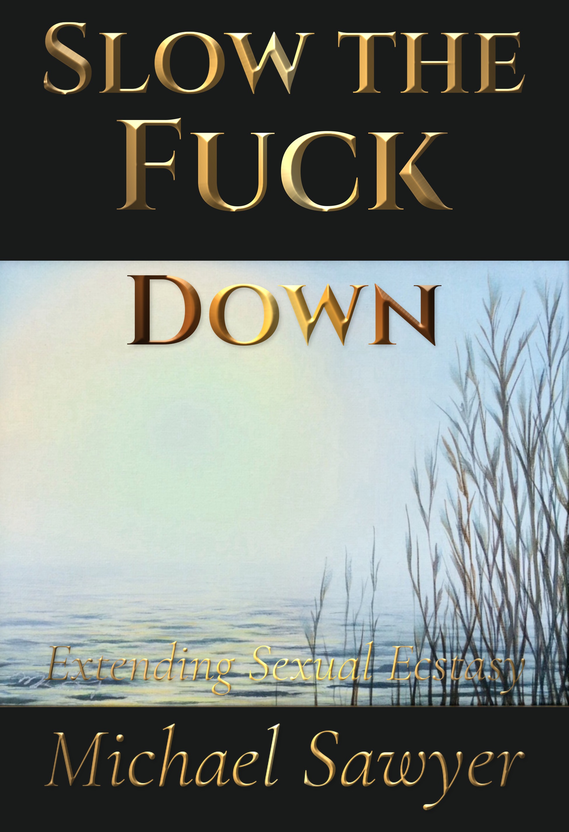 Slow the Fuck Down — Michael Sawyer